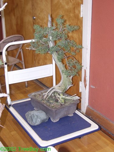 2002Betsuin 097.jpg